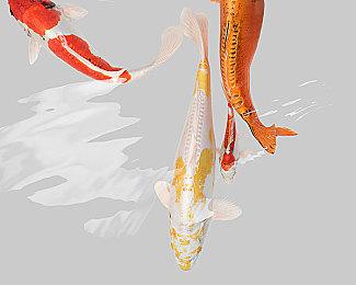 Win11没用户升级了 微软着急：准备大更新